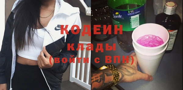 индика Пестово