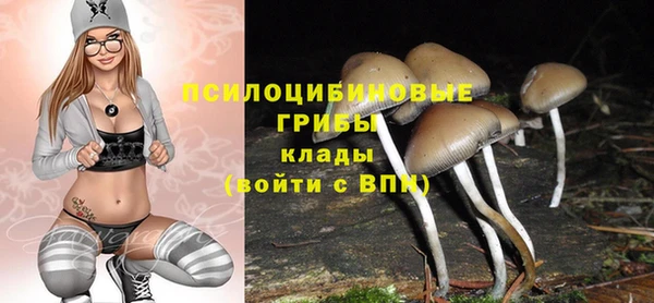 эйфоретик Гусь-Хрустальный