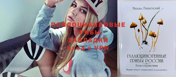 эйфоретик Гусь-Хрустальный