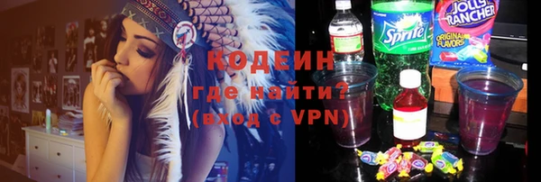 эйфоретик Гусь-Хрустальный